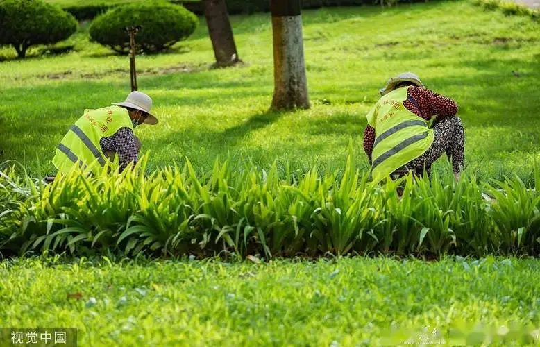 枣阳城市绿化带护栏