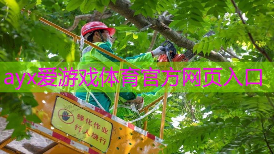 武昌绿化亮化工程报价多少