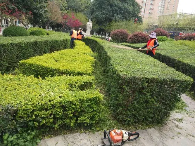 乌海市高速公路绿化工程